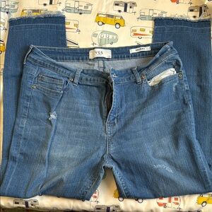 VGS Distressed Blue Jeans